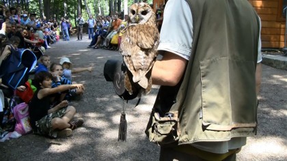 park-niespodzianek-ustron-9