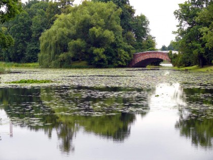 romantyczny-ogrod