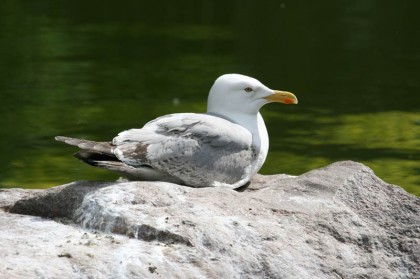 warszawskie-zoo-warszawa-6